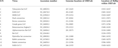 Deciphering inhibitory mechanism of coronavirus replication through host miRNAs-RNA-dependent RNA polymerase interactome